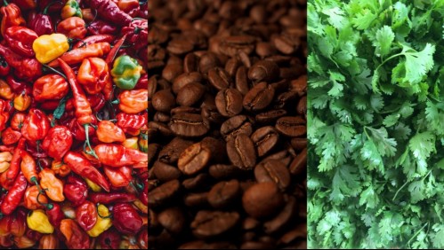 ¿Quieres perder unos kilos? Qué comer y qué evitar para bajar de peso