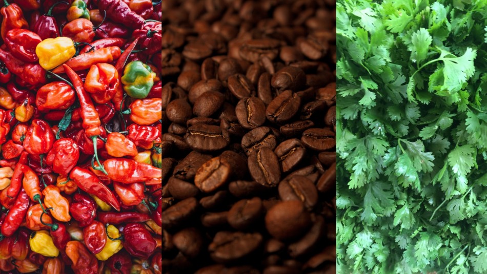 ¿Quieres perder unos kilos? Qué comer y qué evitar para bajar de peso ¿Quieres perder unos kilos? Qué comer y qué evitar para bajar de peso