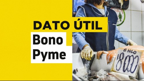 Bono Pyme: Revisa quiénes lo pueden solicitar sin iniciación de actividades