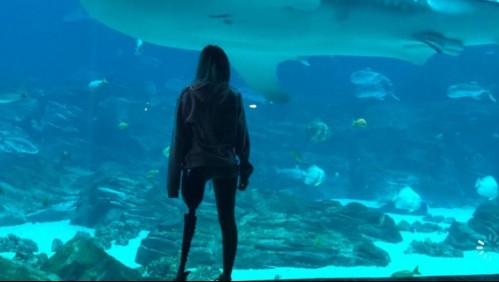 'Necesitaba sobrevivir': joven sufre amputación de una pierna tras ser atacada por un tiburón