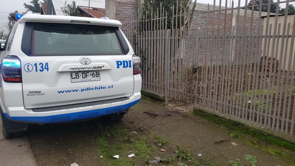 ataque-perros-pitbull-curico Un hombre muere y otro queda herido tras ataque de perros pitbull en Curicó