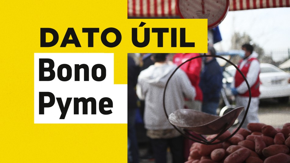 bono-pyme bono pyme