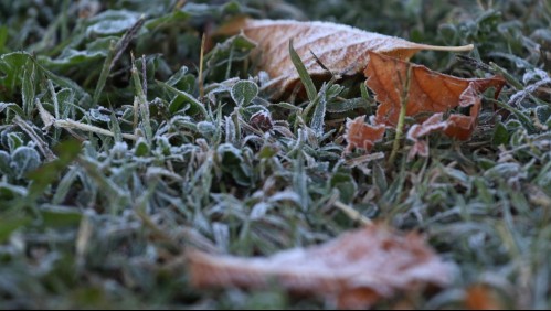 Hasta -6°: Meteorología anuncia heladas para 9 regiones del país