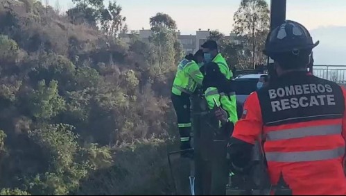 'Patas negras': Persona cayó en quebrada de más de 30 metros en Viña del Mar