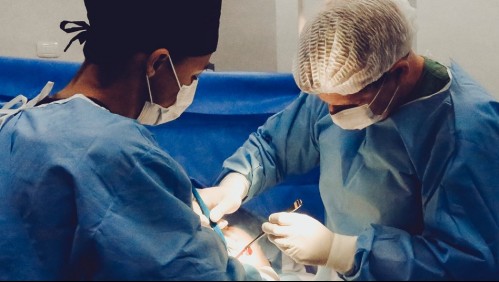 Médicos realizan por error trasplante de riñón a paciente equivocado