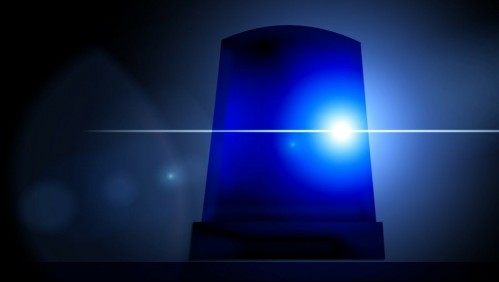 Dos niños de 10 y 12 años son acusados de matar a 700 gallinas a palazos y herir a otras 200