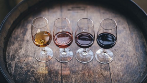 Aprende a elegir la copa ideal para beber vino: Esto recomiendan los expertos