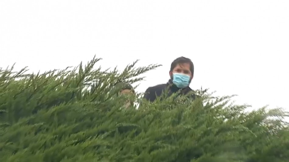 gabriel-boric Primarias Presidenciales: Boric vota en Punta Arenas y sube a árbol símbolo de su campaña