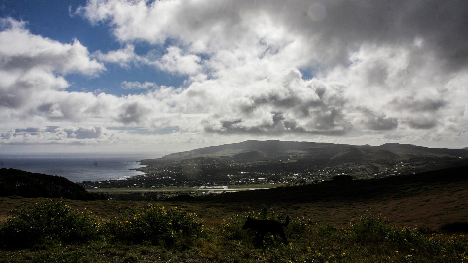 Armada emitió una alerta de marejadas para la isla de Rapa Nui Armada emitió una alerta de marejadas para la isla de Rapa Nui