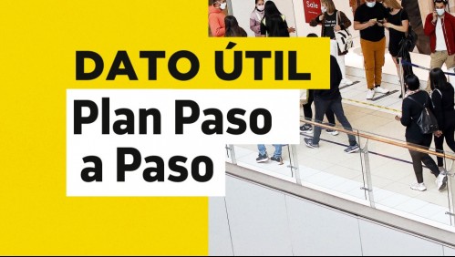 Plan Paso a Paso: Revisa en qué fase se encuentra tu comuna