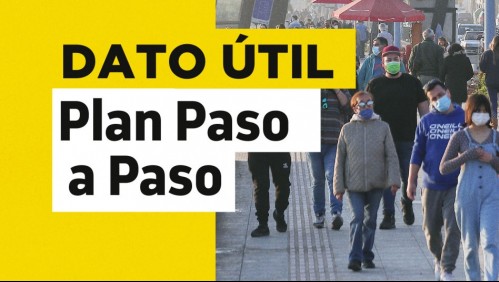 Plan Paso a Paso: Revisa en qué fase se encuentra tu comuna