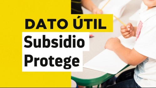 Se acaba el plazo para solicitar el Subsidio Protege: Revisa cómo postular