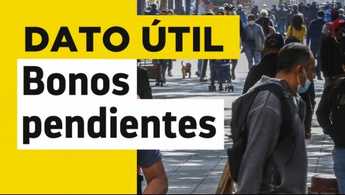 Bonos pendientes: Consulta con tu RUT si tienes aportes sin cobrar