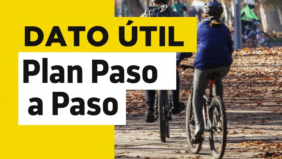 cambios-de-fase-plan-paso-a-paso Cambios de fase plan paso a paso