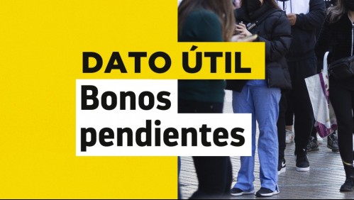 Bonos pendientes: Revisa con tu RUT si tienes dinero sin cobrar