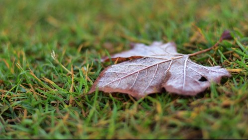 Hasta -2°C: Emiten alerta por heladas para los próximos días en la RM y otras tres regiones