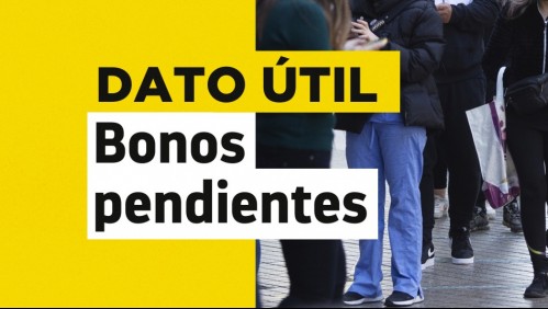 Bonos pendientes: Conoce con tu RUT si tienes aportes sin cobrar