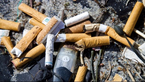'Chao colillas': proyecto que multa por fumar en playas, ríos o lagos llega al Senado