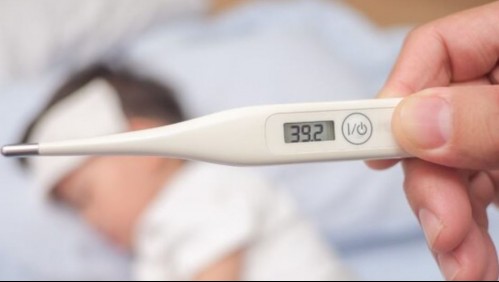 ¿Qué es la fiebre Q? Revisa las síntomas de la infección que suma dos casos sospechosos en Chile