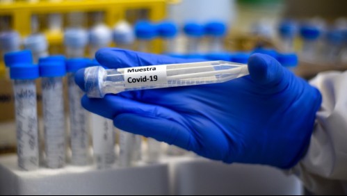 Coronavirus: Cuatro regiones alcanzaron este martes un 0% de positividad en exámenes PCR