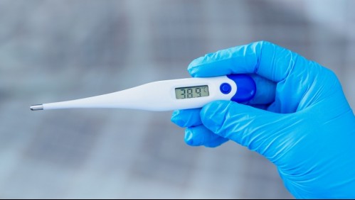 Detectan segundo caso sospechoso de fiebre Q en Los Lagos: joven se encuentra hospitalizado