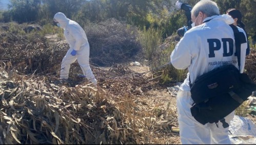 Investigan presunto crimen de mujer en La Serena: fue hallada cubierta con ramas