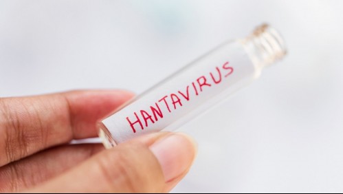 Confirman muerte de mujer por virus Hanta en La Araucanía