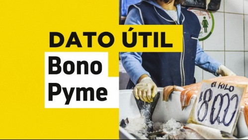 Bono Pyme: Revisa cuántas veces puedes solicitar el beneficio de $1 millón