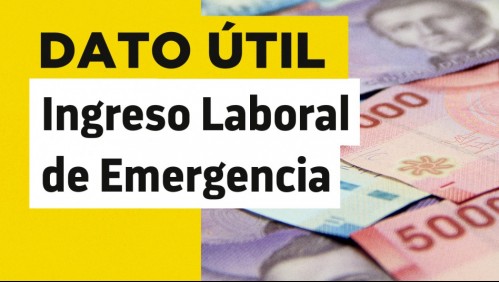 Ingreso Laboral de Emergencia: ¿Qué montos se entregarían si se aprueba el proyecto?