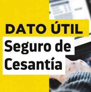 Excedentes del Seguro de Cesantía: Revisa cuáles son los plazos de pago Excedentes del Seguro de Cesantía: Revisa cuáles son los plazos de pago