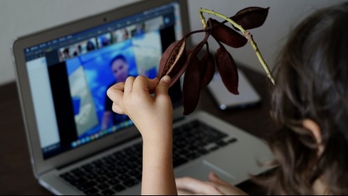 Recoleta se querella por ataque sexual cibernético en actividad en la que participaban niños