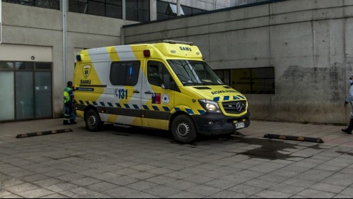 Descartan caso de fiebre Q en veterinaria que fue trasladada de Osorno a Santiago