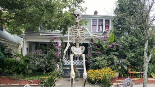 Un esqueleto y lápidas en el jardín: Hombre insta a la gente a vacunarse con un inusual método