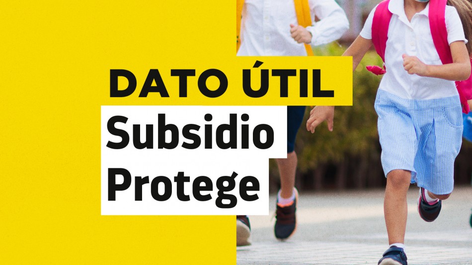 Subsidio Protege: Conoce cuándo se realizará el pago de agosto Subsidio Protege: Conoce cuándo se realizará el pago de agosto