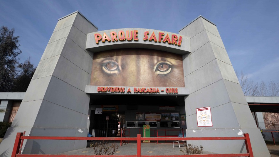 joven-trabajadora-fue-atacada-por-tigre-en-parque-safari Investigan presunta negligencia en ataque de tigre a joven trabajadora del Parque Safari