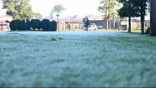Alerta Agrometeorológica: Se anuncia nuevo evento de 'heladas' para ocho regiones del país