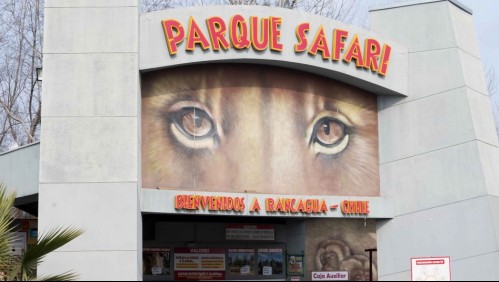 Caso Parque Safari: Animalistas realizan manifestación tras funeral de trabajadora