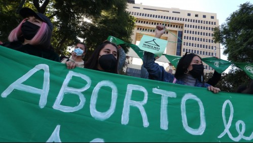 Despenalización del aborto: Comisión de la Cámara rechaza en general el proyecto de ley
