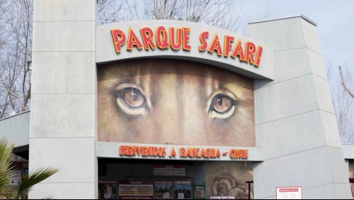 Caso de trabajadora fallecida en Safari de Rancagua: Recinto ya había sido infraccionado por accidente laboral