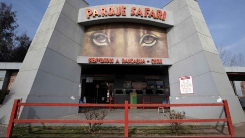 Suspenden indefinidamente funcionamiento del Parque Safari de Rancagua por falta de medidas de seguridad