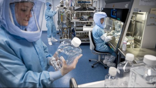 Marburgo: qué se sabe de este virus primo del Ébola que la OMS pide 'atajarlo ya'