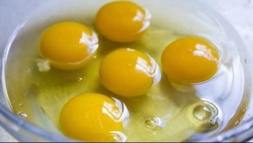 ¿Necesitas congelar claras de huevo? Esta es la forma correcta de hacerlo