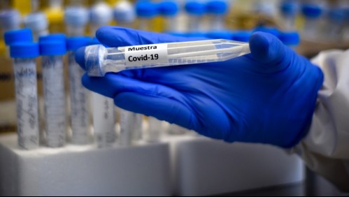 Coronavirus en Chile: Revisa la cantidad de casos activos que hay en cada región y las comunas más afectadas de la RM