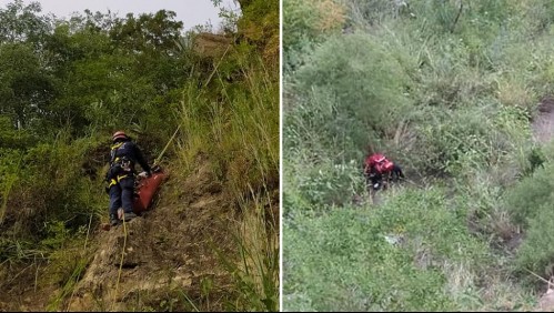 Se resbala y cae por un abismo de 50 metros: Sobrevive tras sujetarse de un árbol