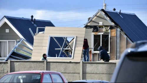 Voladuras de techos y árboles caídos: Videos muestran estragos por vientos de hasta 90 kms. por hora en Punta Arenas