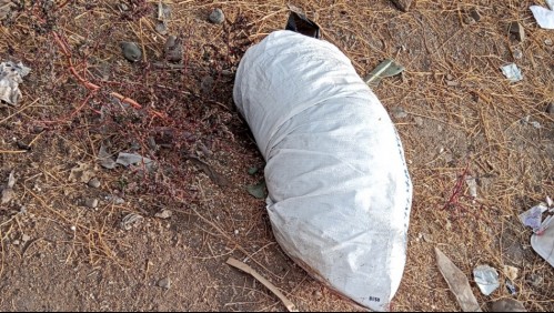 'Alevosía al momento de exterminar': querella por hallazgo de sacos de harina con restos animales mutilados