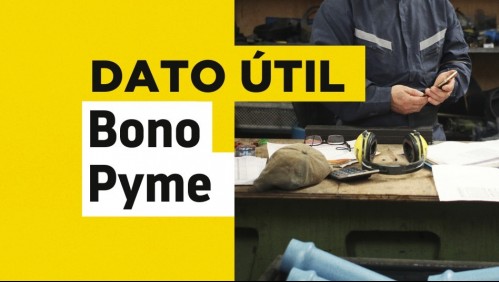 Bono Adicional Variable para Pyme: Revisa cuándo comienzan las solicitudes