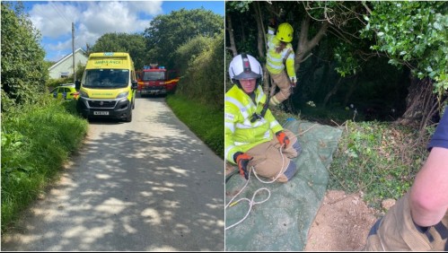 Gato salva a su dueña de 83 años luego de que esta cayera a un barranco