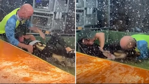 Feroz ataque de un caimán a su cuidadora frente a un grupo de niños queda grabado y se viraliza