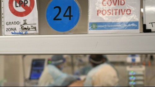 Balance coronavirus: Minsal informa 503 nuevos casos y 18 fallecidos